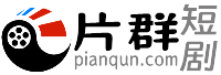 片群